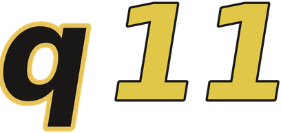 q11 logotipo